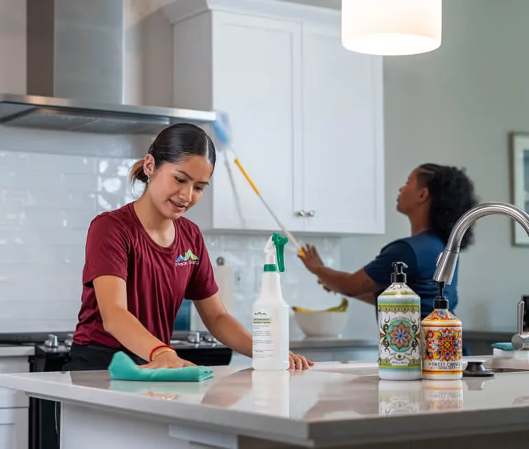 recurring cleaning service