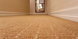 carpet and area rug cleaning